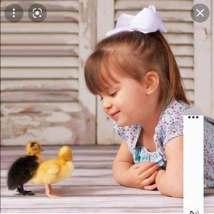 Meet your Posher, Alaa